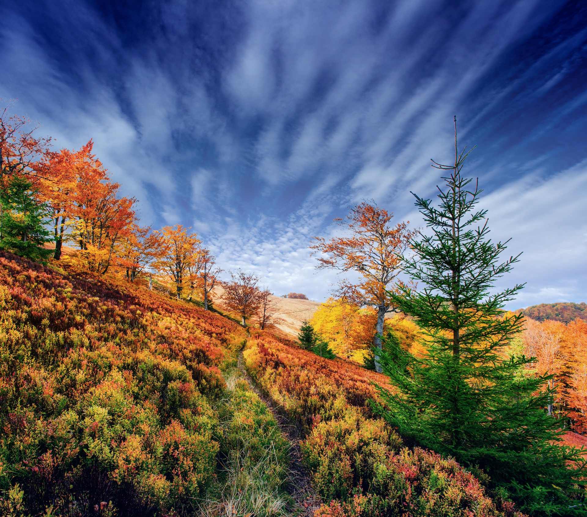 Autumn alley. Fantastic cumulus clouds, dramatic sky. Sunset.