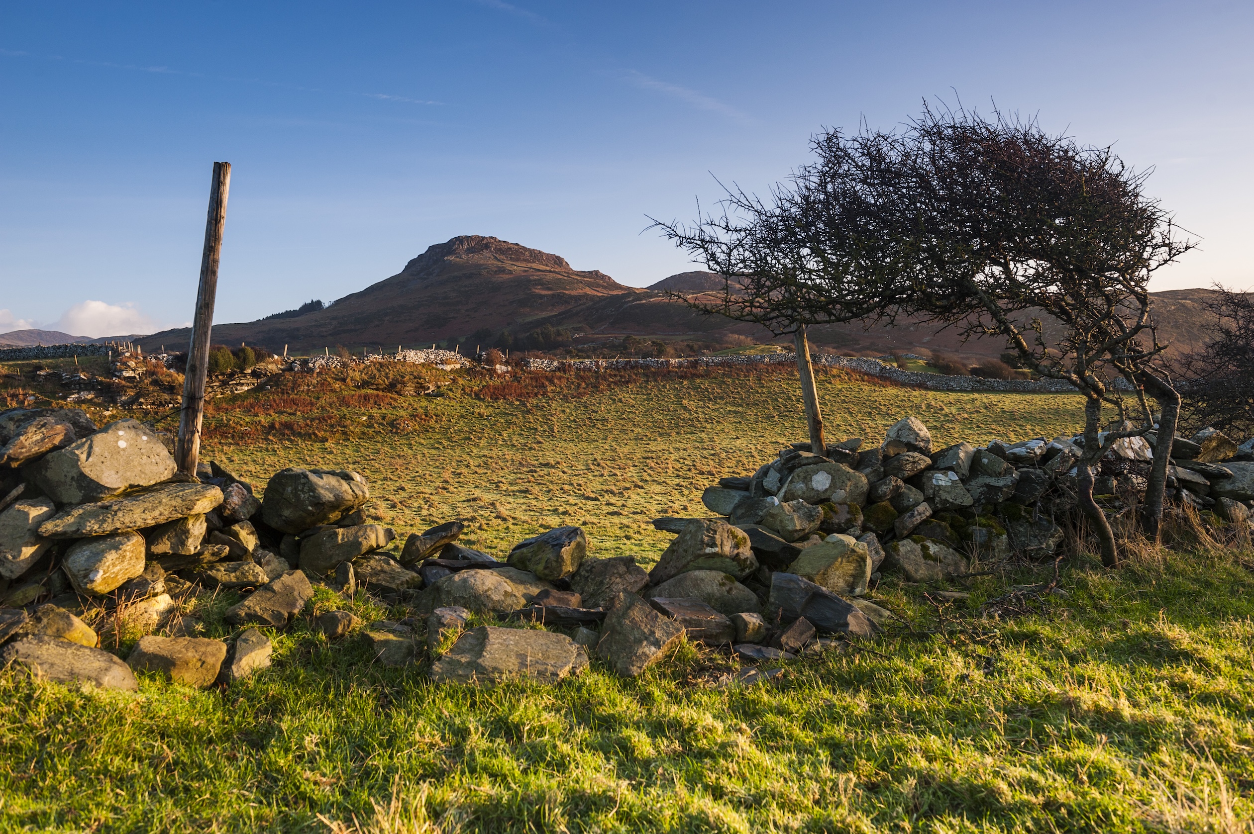 Eildon Hills Panorama Walk