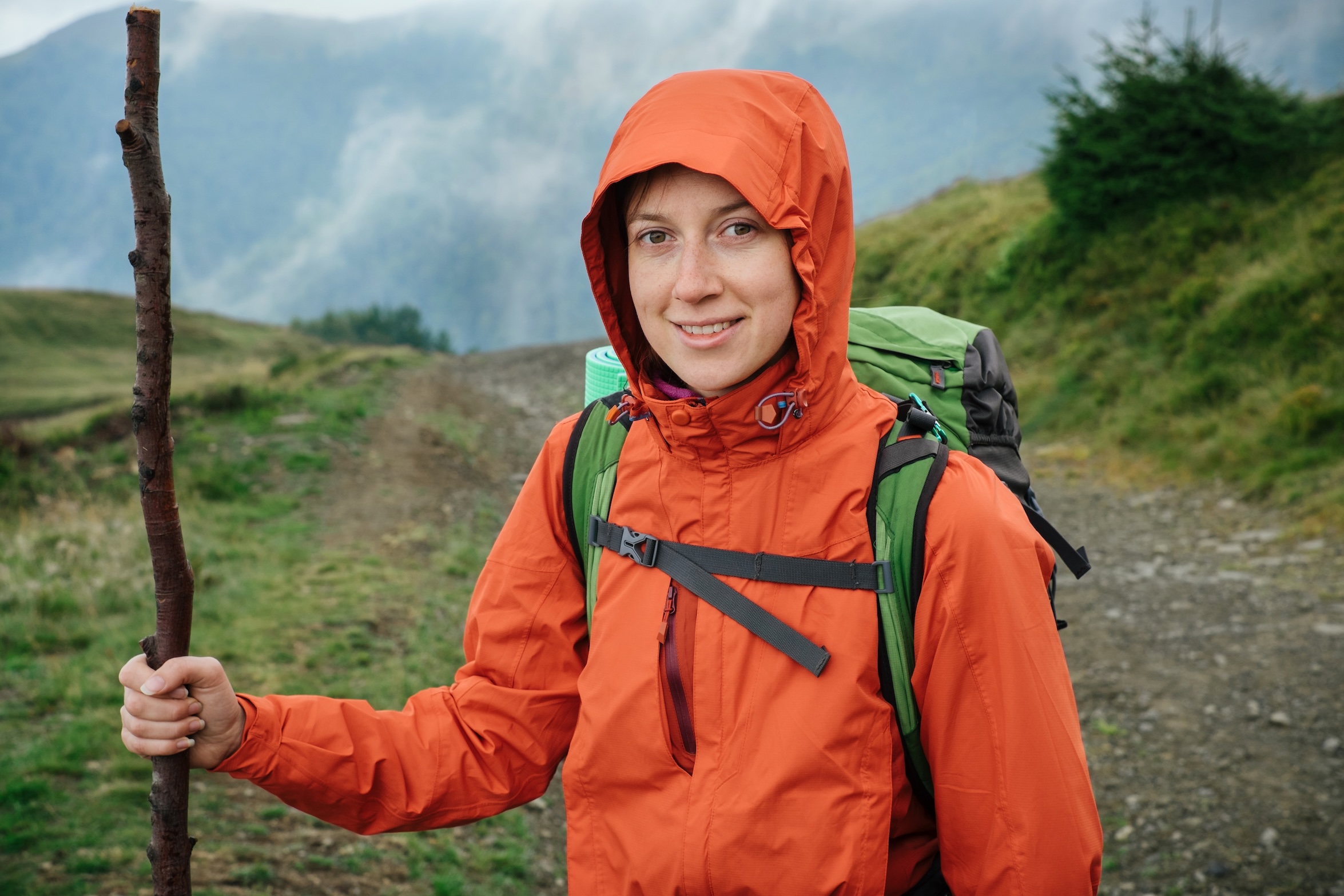 Women hiking with backpack holding wood trekking stick high in the mountains